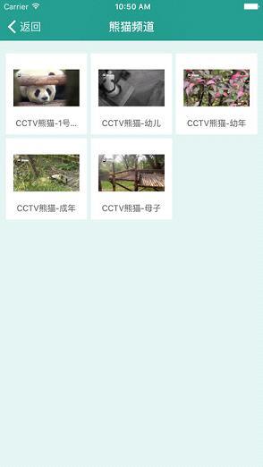 小熊TV直播截图