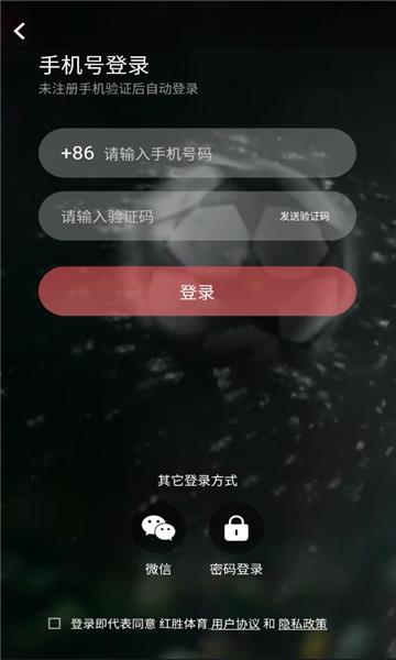 红胜体育官方版截图