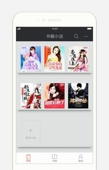 书橱小说截图