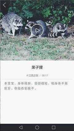 动蛙Live直播