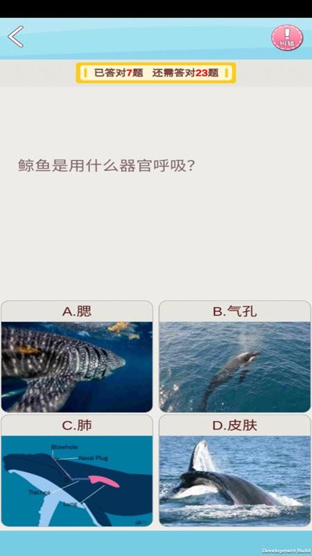 AR幻石学院截图