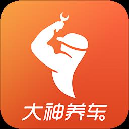 大神养车违章查询
