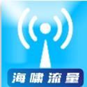 海啸流量