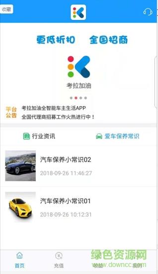 考拉加油