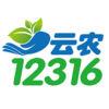 云农12316