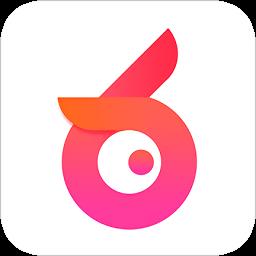 61区