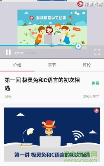 极灵兔编程