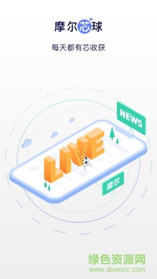 摩尔芯球