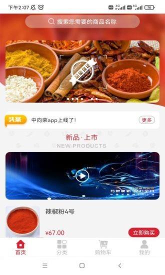 中向荣截图