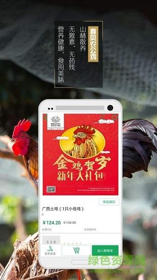 真贝农