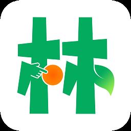 点林