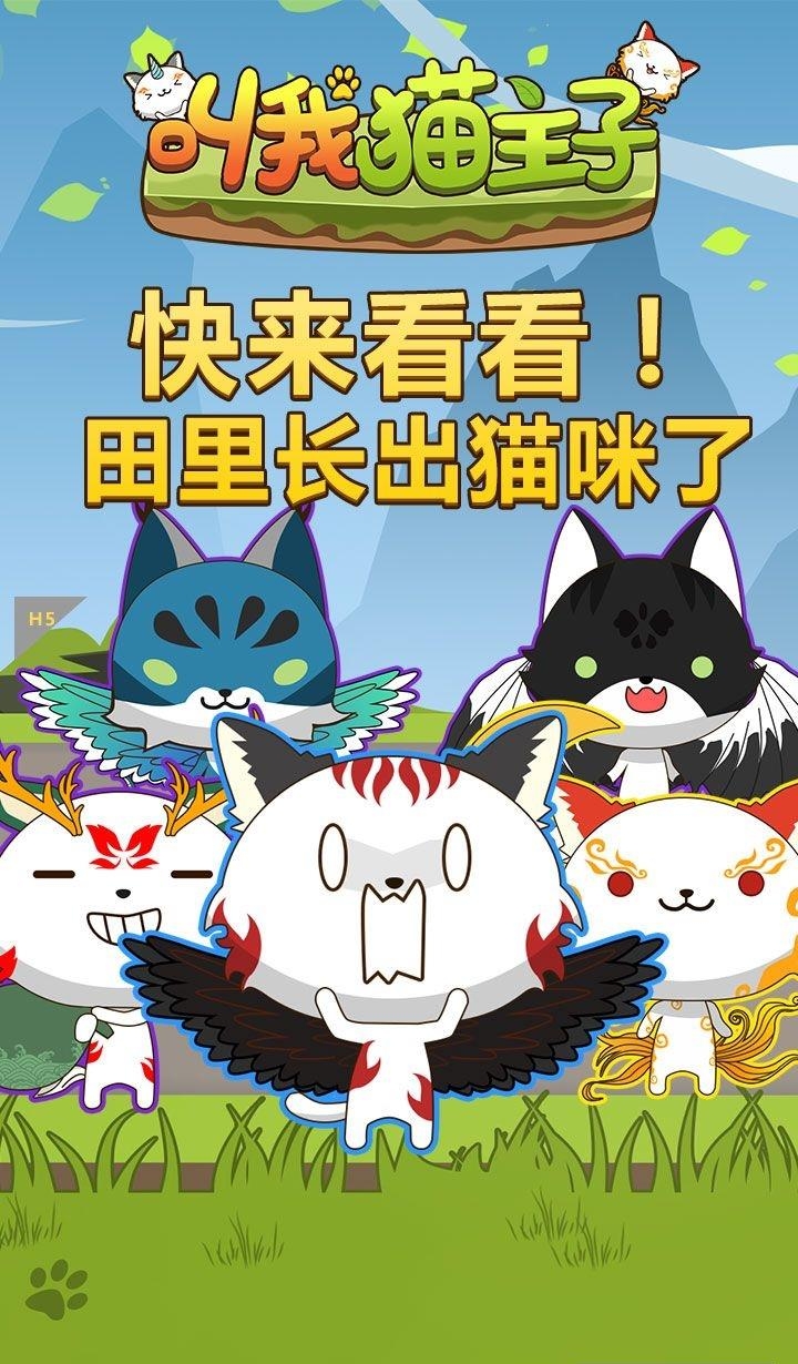 叫我猫主子