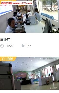 网易青果直播截图