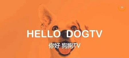 狗狗TV安卓版截图