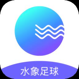 水象足球