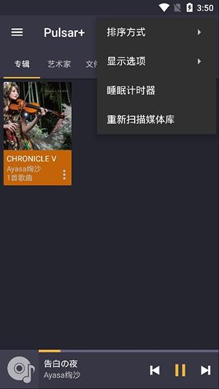 Pulsar脉冲音乐播放器高级版apk