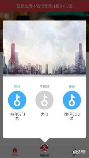 菠萝社区截图