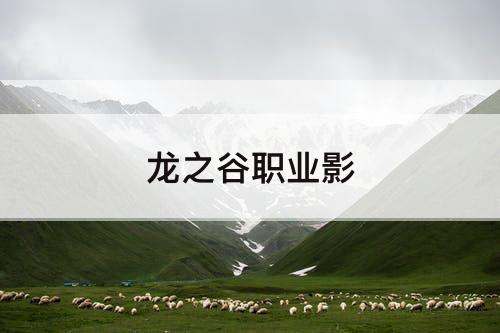 龙之谷职业影