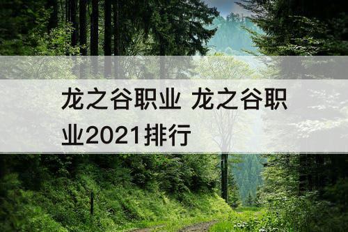 龙之谷职业 龙之谷职业2021排行