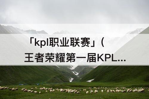 「kpl职业联赛」(王者荣耀第一届KPL职业联赛)