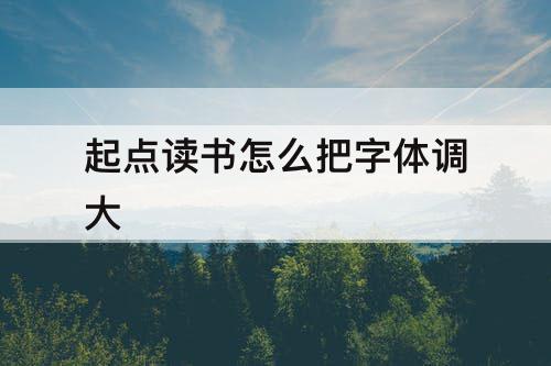 起点读书怎么把字体调大