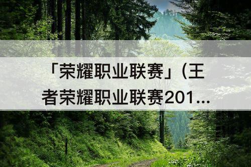 「荣耀职业联赛」(王者荣耀职业联赛2016年小组赛进行几轮)