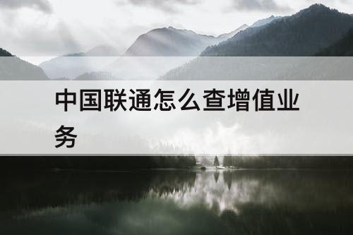 中国联通怎么查增值业务
