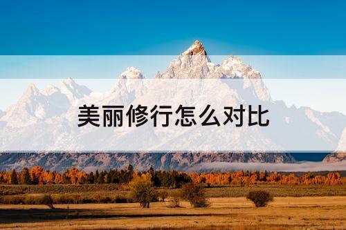 美丽修行怎么对比
