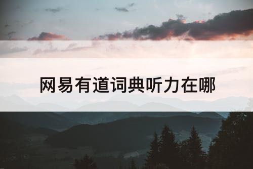 网易有道词典听力在哪