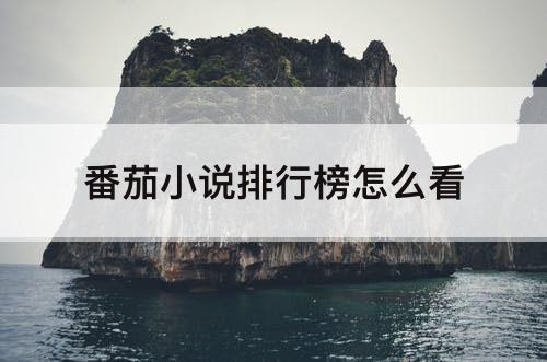 番茄小说排行榜怎么看