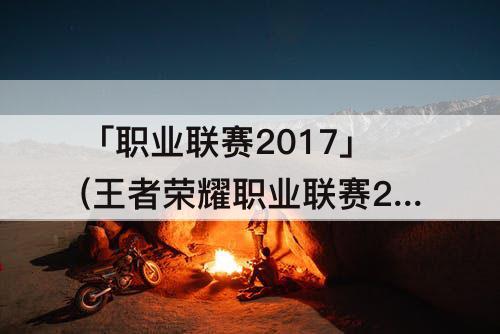 「职业联赛2017」(王者荣耀职业联赛2017秋季赛)