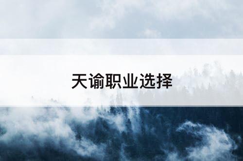 天谕职业选择