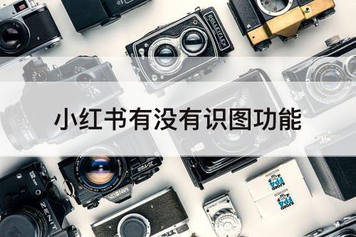 小红书有没有识图功能