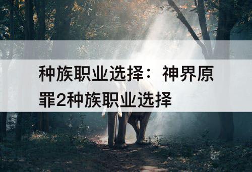 种族职业选择:神界原罪2种族职业选择
