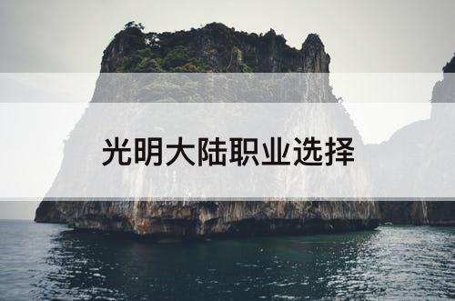 光明大陆职业选择