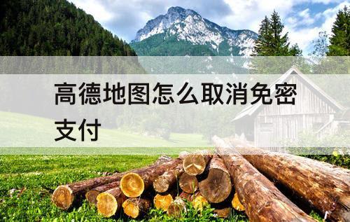 高德地图怎么取消免密支付