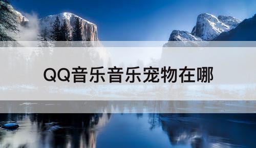 QQ音乐音乐宠物在哪