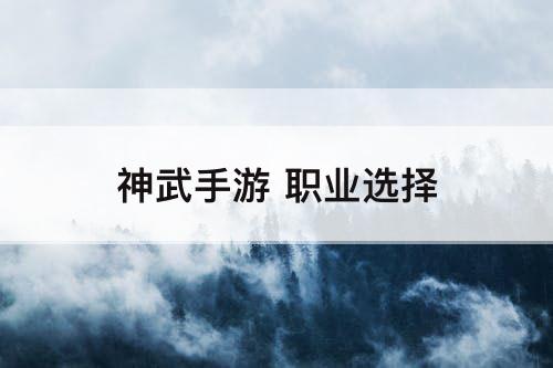 神武手游 职业选择