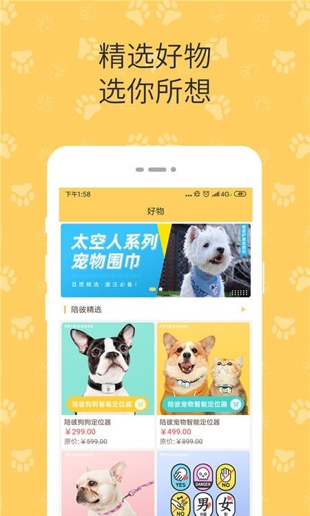 陪彼宠物