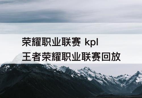 荣耀职业联赛 kpl王者荣耀职业联赛回放