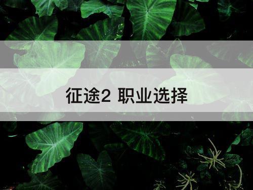 征途2 职业选择