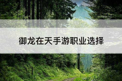 御龙在天手游职业选择