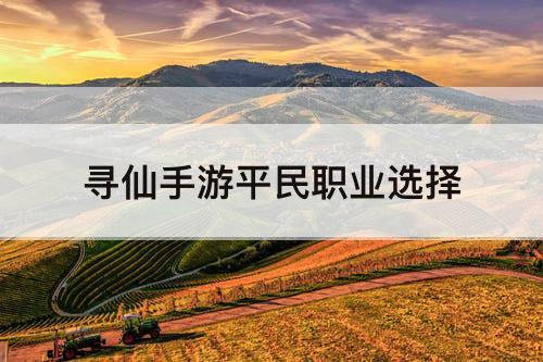 寻仙手游平民职业选择