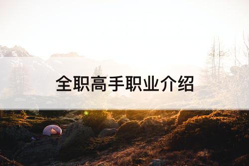 全职高手职业介绍