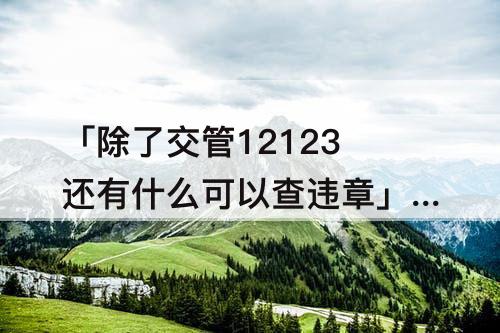 「除了交管12123还有什么可以查违章」(除了交管12123还有什么可以查违章罚款)