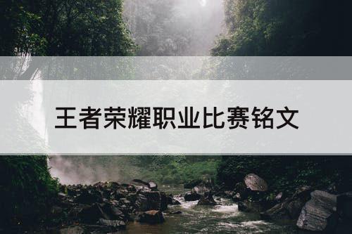 王者荣耀职业比赛铭文
