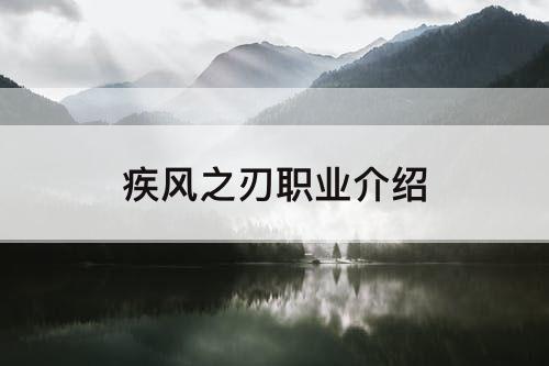 疾风之刃职业介绍