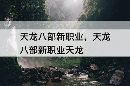 天龙八部新职业,天龙八部新职业天龙