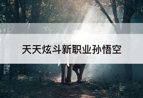 天天炫斗新职业孙悟空