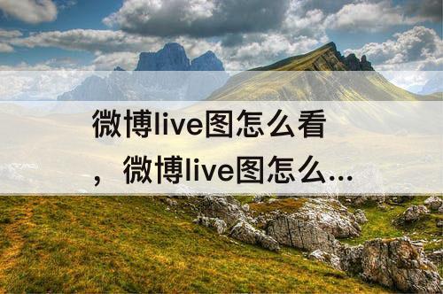 微博live图怎么看,微博live图怎么看要更新吗